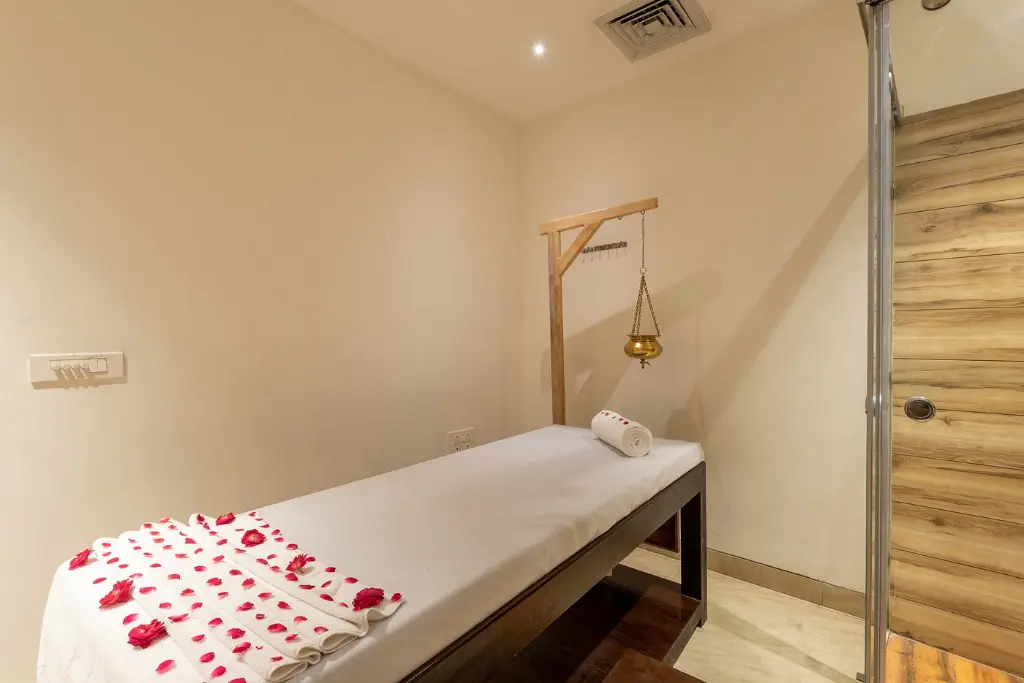 DLS Hotel The Classio- Rishikesh (2).webp