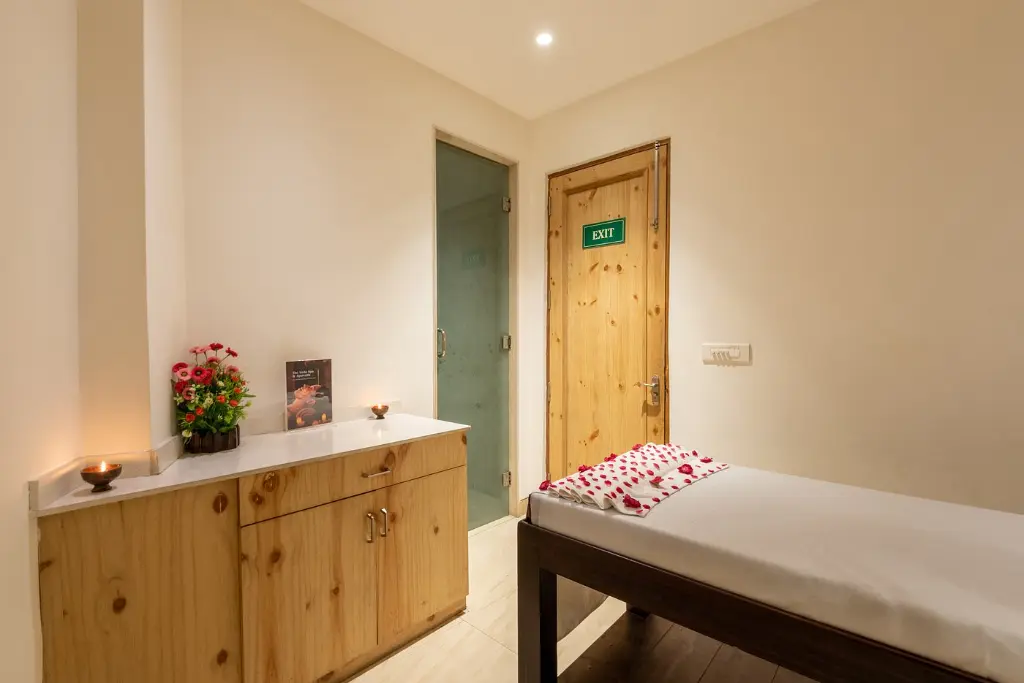DLS Hotel The Classio- Rishikesh (5).webp